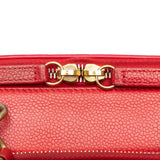 Chanel Caviar Quilted Small Camera Case