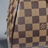 Louis Vuitton Damier Ebene Ribera MM