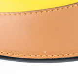 Loewe Colorblock Horseshoe Bag